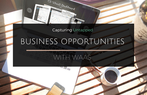 Business Opportunities with WaaS