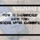How to organically grow your social media channels
