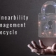 Vulnearbility Management Lifecycle