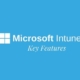 Intune Key Features